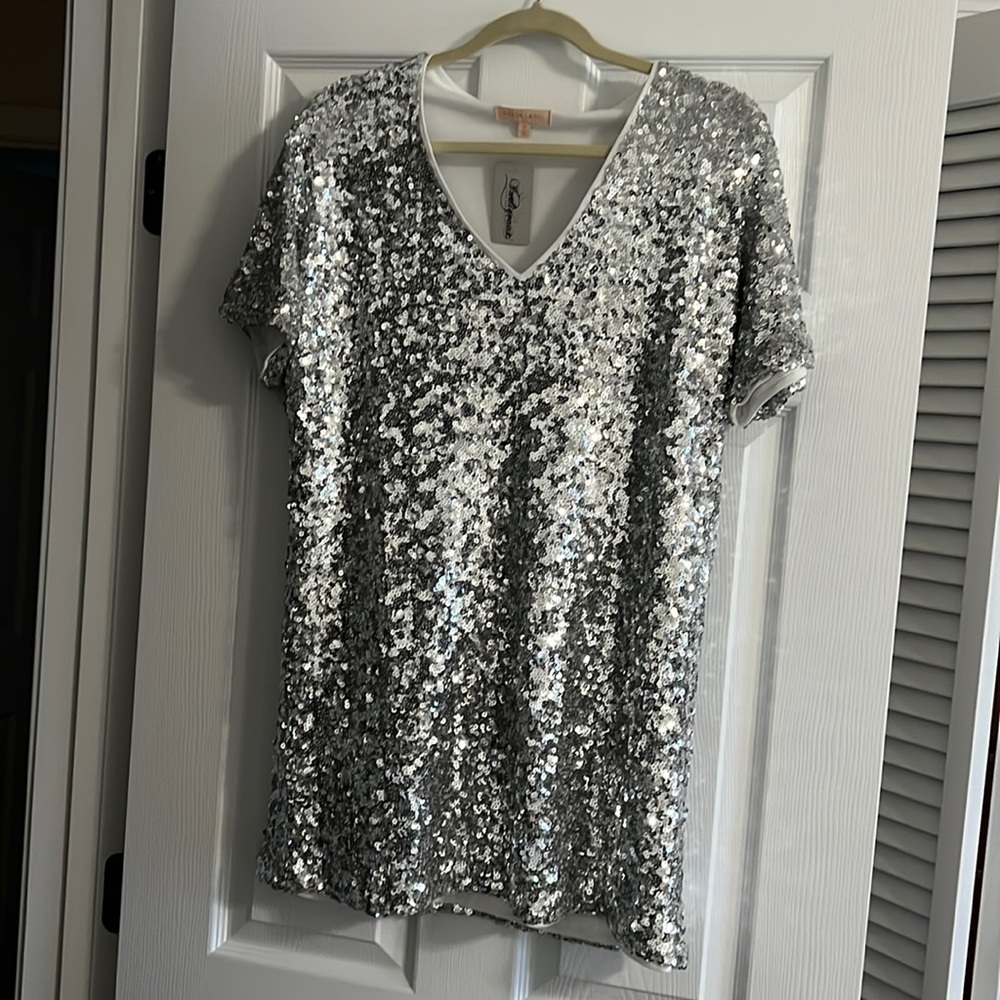 Silver Sparkle Sequin Dress size small NWT